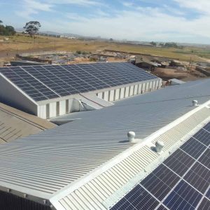 Copy of WhatsApp Image 2024 08 14 at 18.51.05 1 1