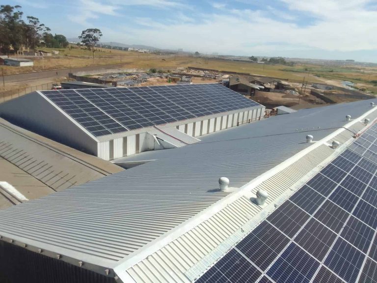 Copy of WhatsApp Image 2024 08 14 at 18.51.05 1 1