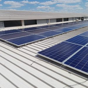 Copy of WhatsApp Image 2024 10 09 at 12.37.15